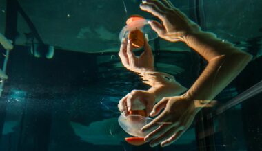 Cyborg jellyfish could help uncover the depths and mysteries of the Pacific Ocean