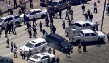 Medicaid searches, 10,000 new agents and immigrant arrest numbers.