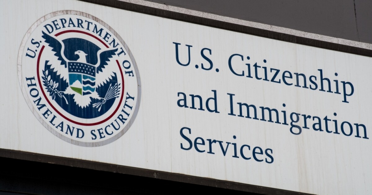 Colorado expert explains impact of new fees in effect for immigration services