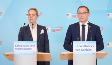 "Das kommt davon, wenn man überall WÄRMEpumpen einbaut!" – AfD macht Habeck für Hitzewelle verantwortlich