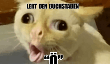 Deutsche Sprache schwere Sprache!