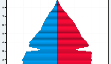 [OC] Population Pyramid Animation for Italy from 1950 to 2100