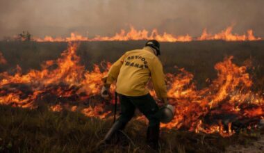 Amazon degradation increases by 163% in two years, while deforestation falls by 54% in the same period. This "negative balance" in protecting the biome jeopardizes the international goals for combating the climate crisis that have been assumed by the country.
