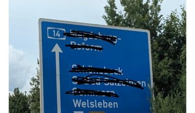 ich🐟🪦iel