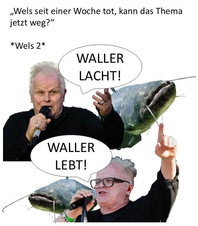 ich_iel