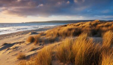 Popular UK beach bans booze and anyone found with a beer could be charged £1,000