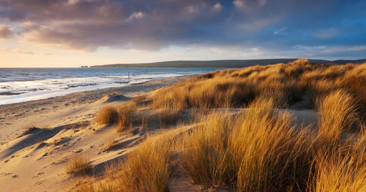 Popular UK beach bans booze and anyone found with a beer could be charged £1,000