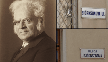 Some Slovak cities have streets named after Bjørnstjerne Bjørnson.
Beyond his role in Norway's independence, in his works he expressed sympathies for Slovak nation after learning about their oppression in Austria-Hungary, publicly criticizing Hungarian anti-minority laws. 🇳🇴🇸🇰