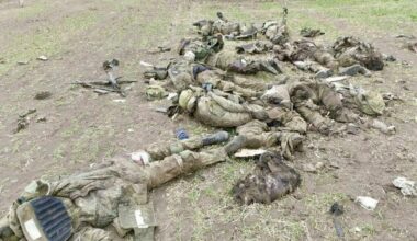 The Russian Army and Russki Mir, ladies and gentleman. I bet these casualties still lie where they were dragged out of the way like this, minus bank cards, watches, etc.