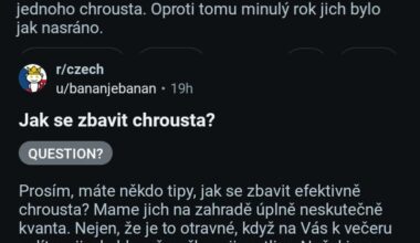 Dualita mužů