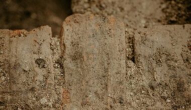 1,800-year-old Roman watchtower discovered along Croatian Danube