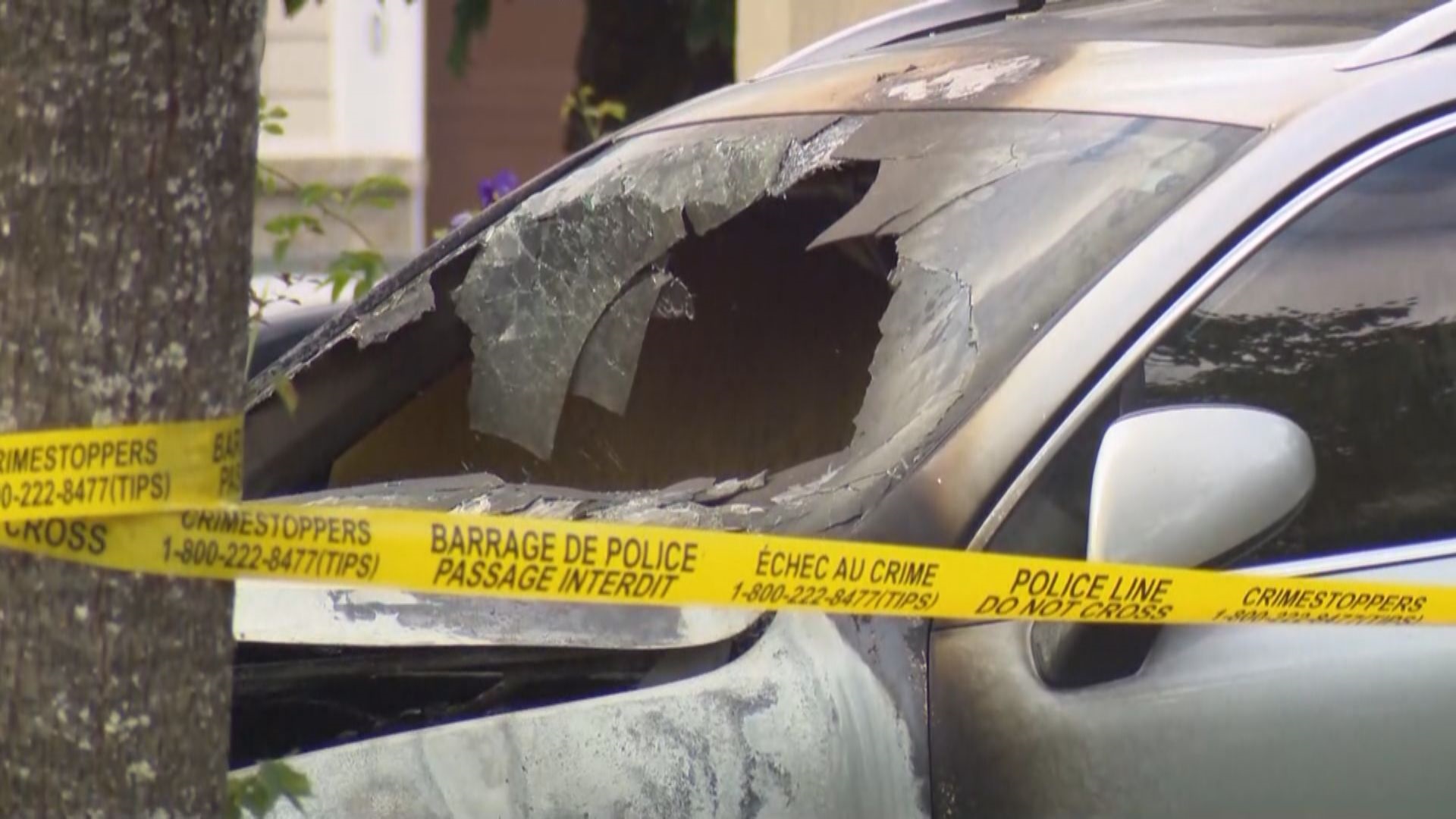 Click to play video: '3 dead in Maple Ridge neighbourhood dispute'