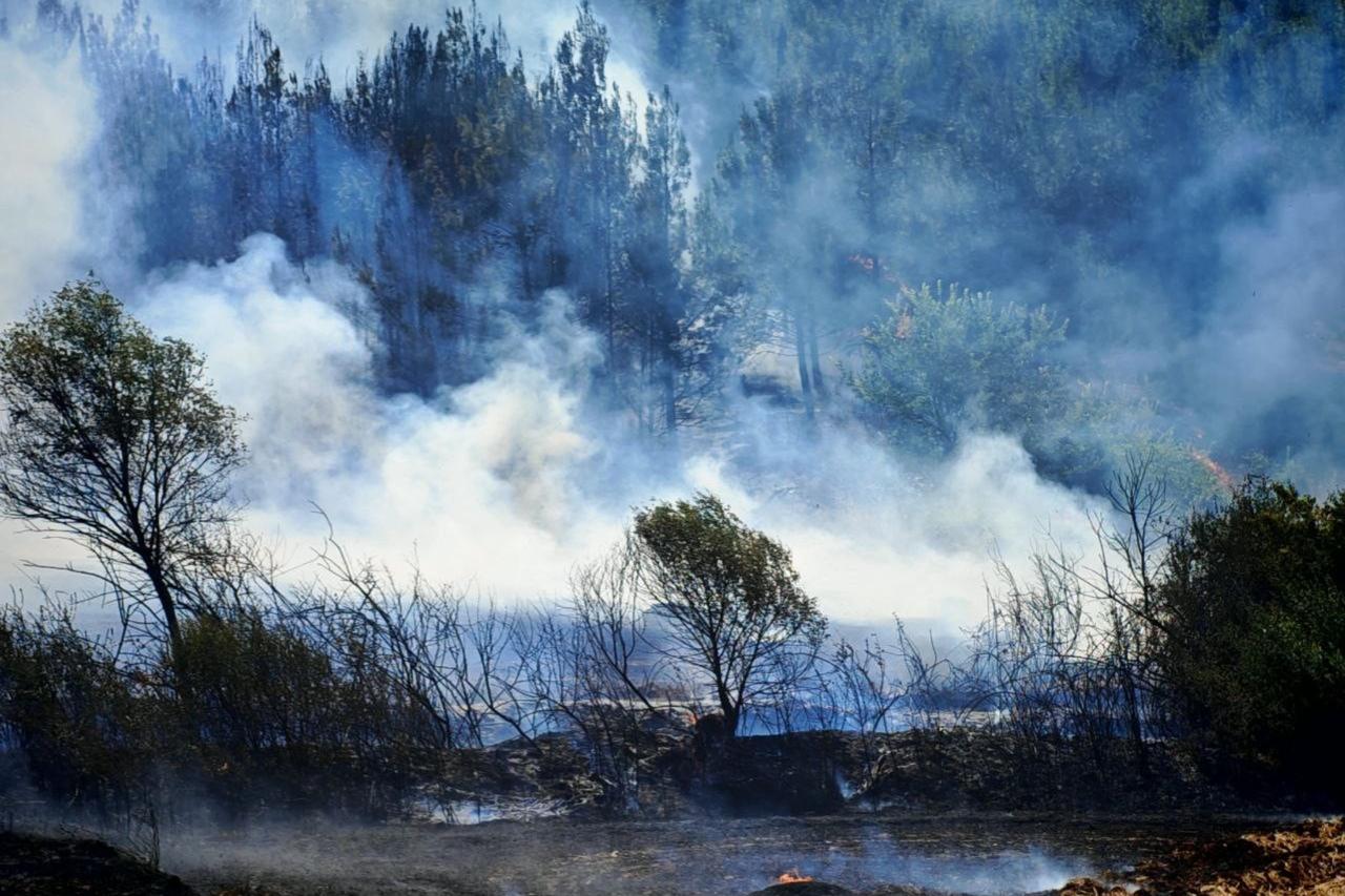 Air and ground crews continue battling a forest and stubble fire in Susamdere, Kesan district of Edirne, Türkiye, July 13, 2025. (IHA Photo)