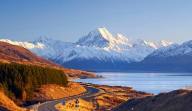 South Island pulls ahead as regional divide widens — economist