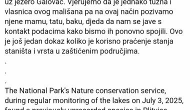 Ako netko zna nekoga čije je dijete izgubilo igračku na Plitvicama...