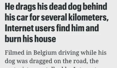 Is dit waar?