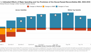 Yale Budget Lab estimate of how the Big Beautiful Bill will Impact Income [OC]