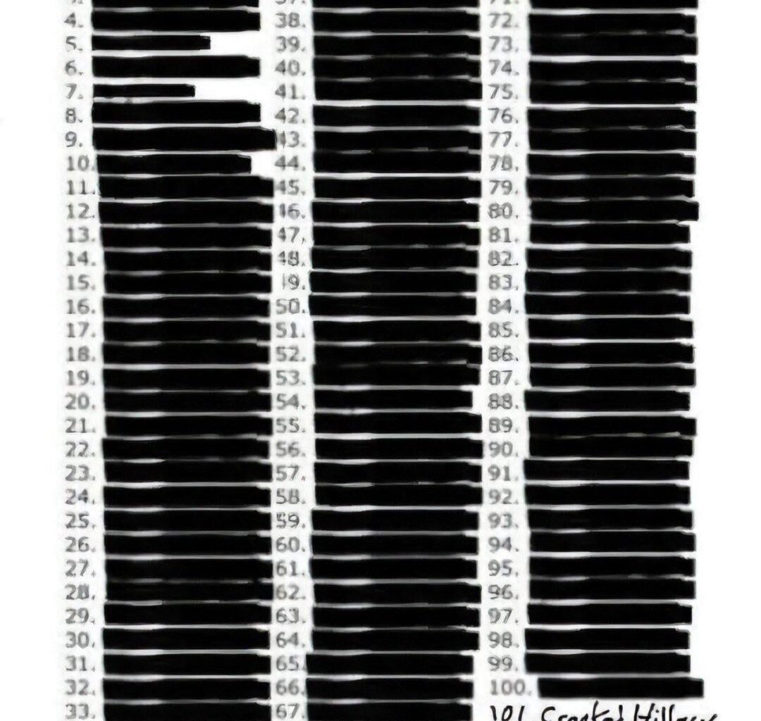 Trump’s DoJ releases the Epstein Client List!