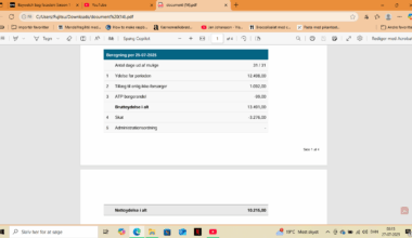 Kontanthjælpsreform, 2025 - Lad os gøre kontanthjælpsmodtageren hjemløs!