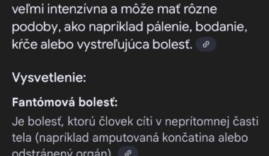 Prompt do Googlu: “Fantómová bolesť chrbtice”.  Asi viete kro mal takú bolesť. Tá AI vie teda pobaviť.