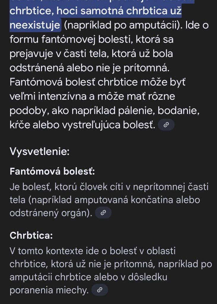 Prompt do Googlu: “Fantómová bolesť chrbtice”.  Asi viete kro mal takú bolesť. Tá AI vie teda pobaviť.