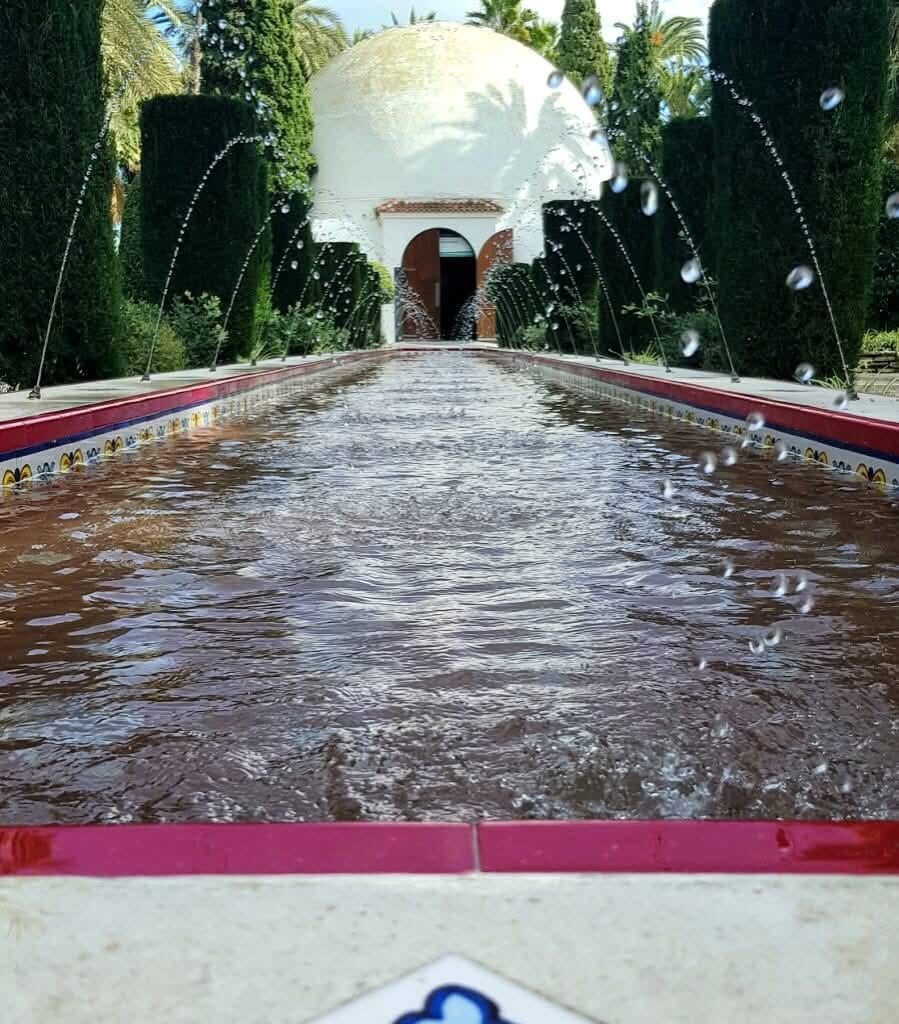 Palmeral De Elche