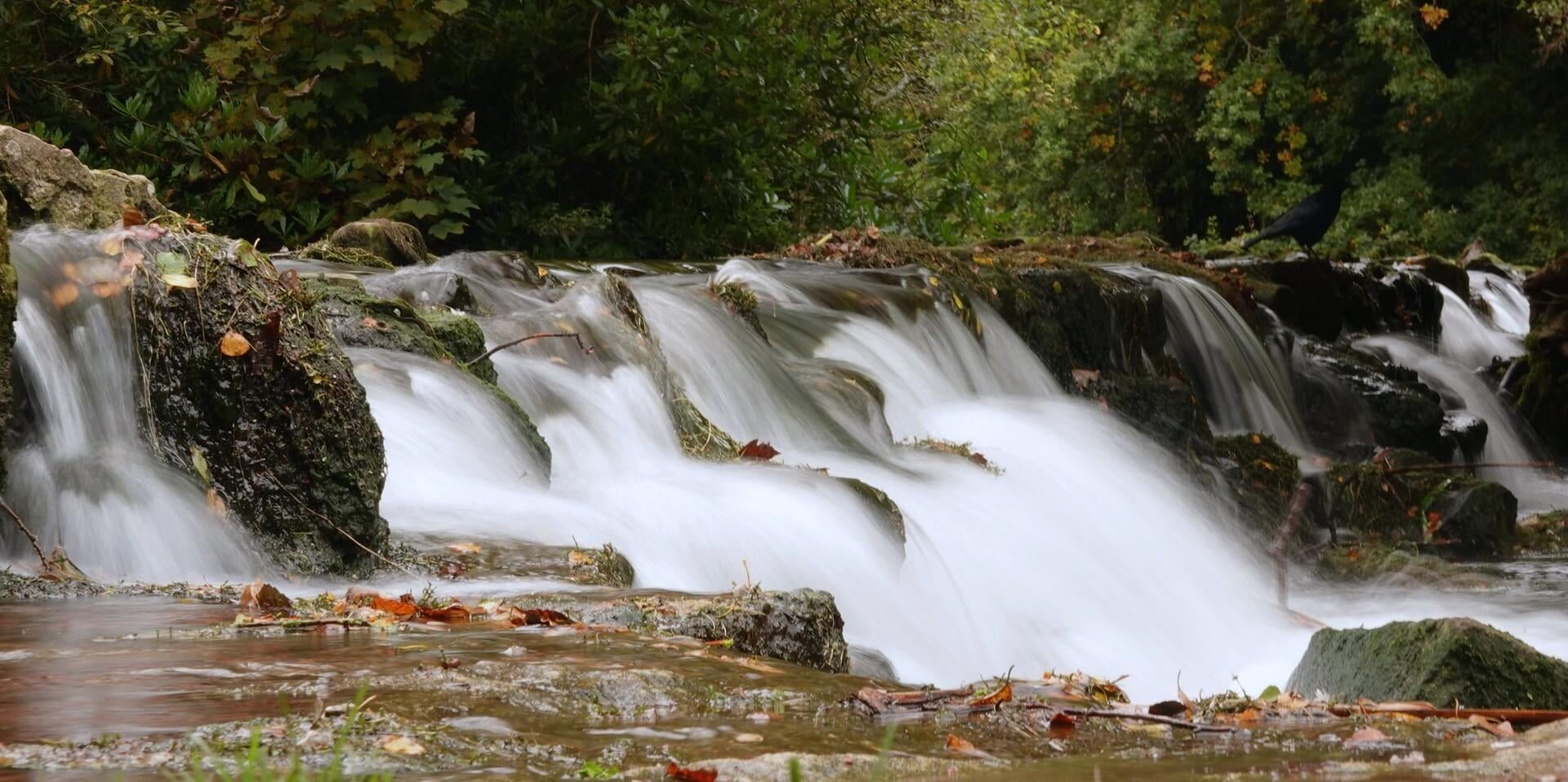 Clumber Cascade (weir), Main Lake at [NT] Clumber Park. It's Grade II* Listed.