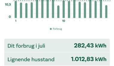 Hvad fanden bruger i strøm på?