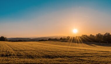 State of the UK Climate: the UK’s sea level is rising at an accelerating rate, faster than the global average and climate change is making Britain hotter and wetter as extremes of weather 'become the norm'.