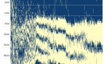 [OC] A Newborn Sleep Schedule