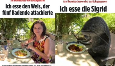 ich_iel