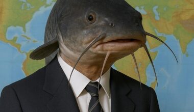 Die letzte Rettung