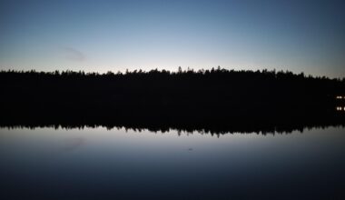En sommarkväll i Sverige.