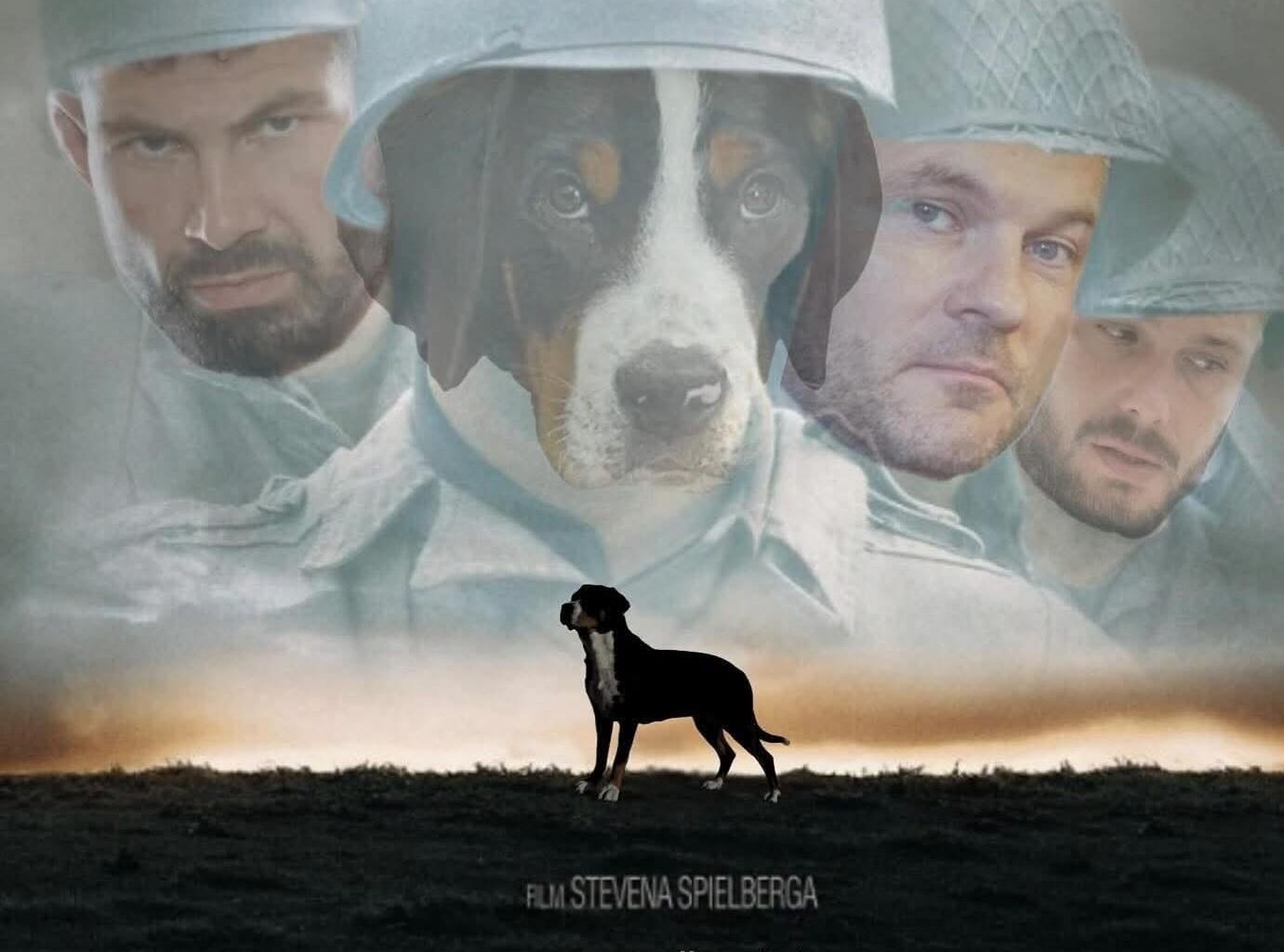 Toto nemá chybu