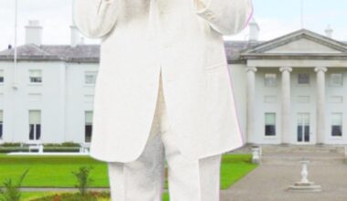 Enough of the nonsense candidates. Vote Hologram of Joe Dolan for President.