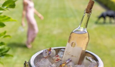 Meghan Markle’s rosé-tinted reality