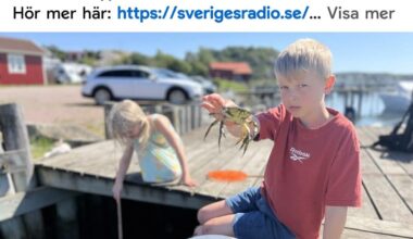 Typ mörda