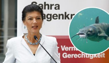 Wagenknecht sicher: Wels-Angriffe nur logische Folge der NATO-Osterweiterung