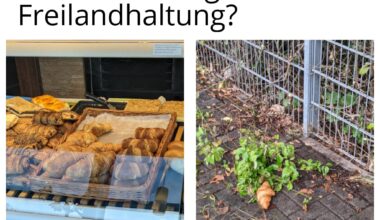 Ich🥐iel