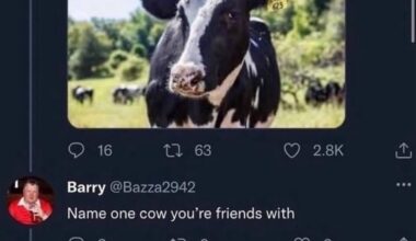 A classic Barry