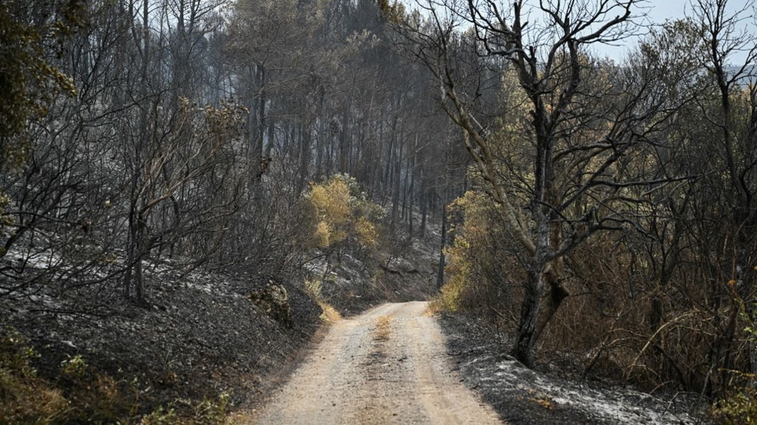 le feu "demeure actif", un sapeur-pompier supplémentaire a été blessé