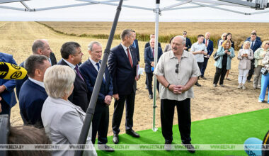 Lukashenko sets target of 1m tonne rapeseed harvest in Belarus