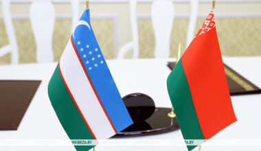 Belarus shares NPP construction expertise with Uzbek delegation