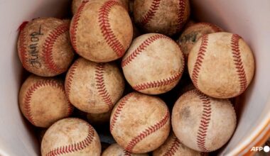 Japan school exits hugely popular baseball event over bullying