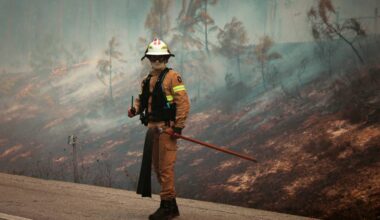 Portugal tem pior temporada de incêndios da história com recorde de área queimada