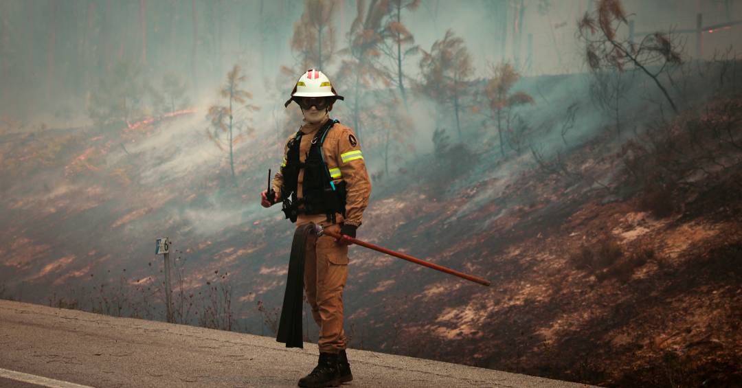 Portugal tem pior temporada de incêndios da história com recorde de área queimada