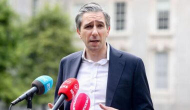 Slower growth in Irish economy after trade deal