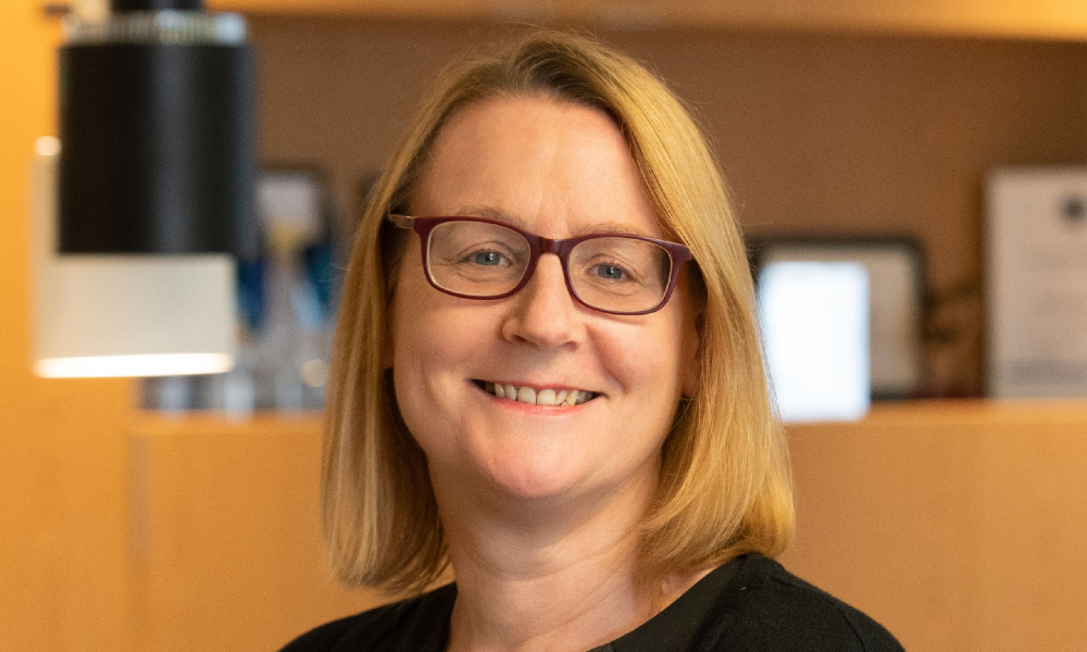 NZ's soft insurance market: Unprecedented opportunities for brokers