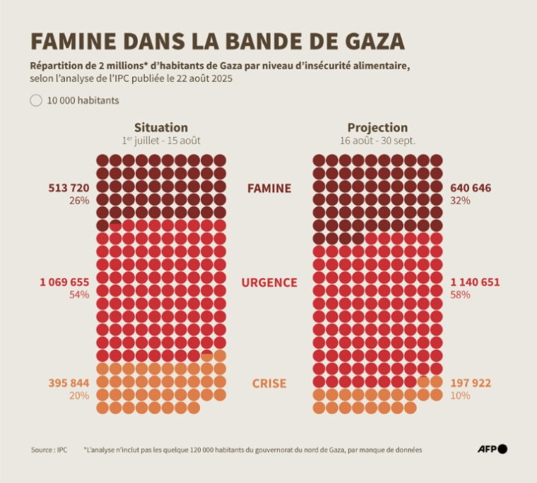 Répartition de la population par niveau d'insécurité alimentaire dans la bande de Gaza, d'après l'analyse du Cadre intégré de classification de la sécurité alimentaire (IPC),  publiée le 22 août 2025 ( AFP / Nalini LEPETIT-CHELLA )