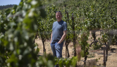 California wine industry torn on Trump tariffs